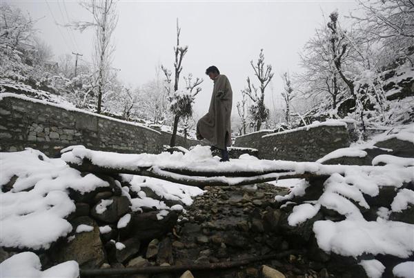 Một người đàn ông Kashmir đi trên những cây gỗ phủ tuyết ở vùng ngoại ô Srinagar, 12/02/2016.