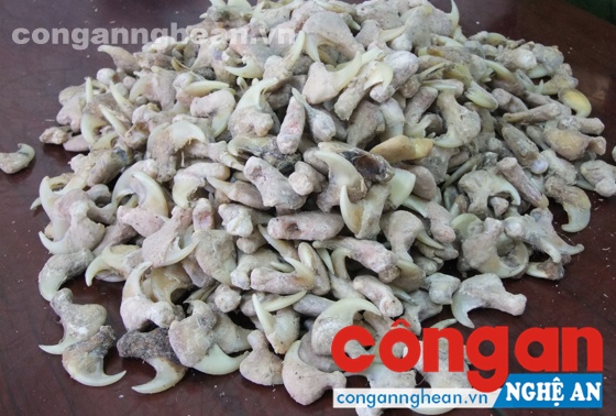 Tang vật vụ án