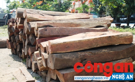 Số gỗ bị thu giữ