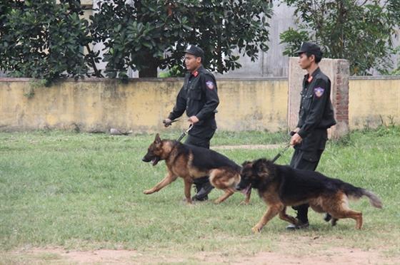  Nhiều giải pháp nâng cao hiệu quả công tác quản lý, huấn luyện và sử dụng chó nghiệp vụ được đưa ra tại Hội nghị.