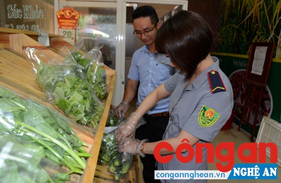 Tiến hành kiểm tra, lấy mẫu rau tại Công ty Tâm Nguyên 1