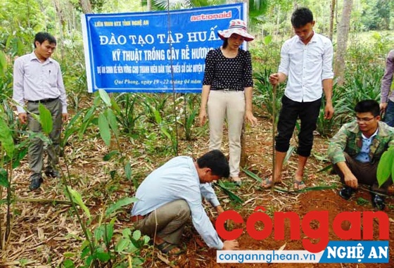 Tập huấn trồng rễ hương cho thanh niên DTTS (Ảnh: Phương Thủy)
