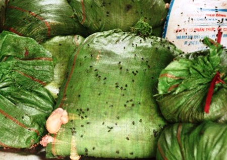 Ảnh minh họa