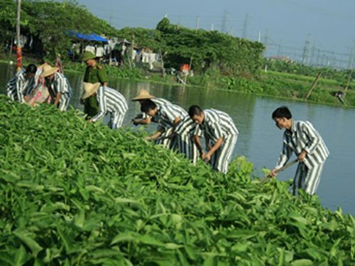 Mở rộng áp dụng hình phạt không giam giữ thể hiện sự nhân đạo của pháp luật hình sự nước ta