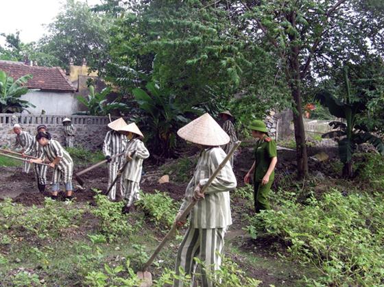 Cán bộ Trại giam Ninh Khánh hướng dẫn phạm nhân lao động.
