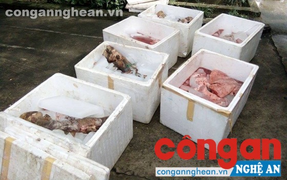 Số nội tạng bị lực lượng chức năng phát hiện, bắt giữ