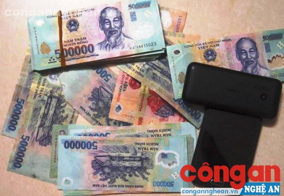 Tang vật bị thu giữ 