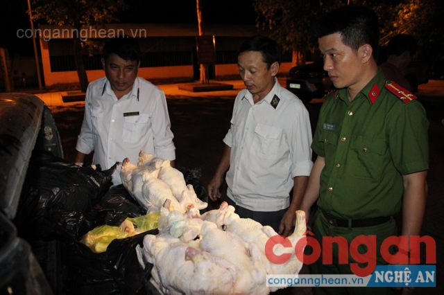 Chuyển giao lô hàng thịt gà không có giấy tờ hợp pháp cho cơ quan Thú y Tp Vinh xử lý