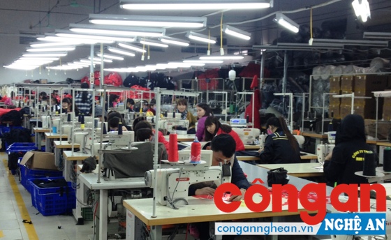 Tình trạng sinh viên tốt nghiệp đại học phải đi làm công nhân diễn ra khá phổ biến hiện nay