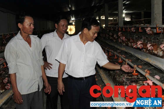 Đoàn khảo sát tham quan, tìm hiểu hoạt động sản xuất của các HTX tại cơ sở