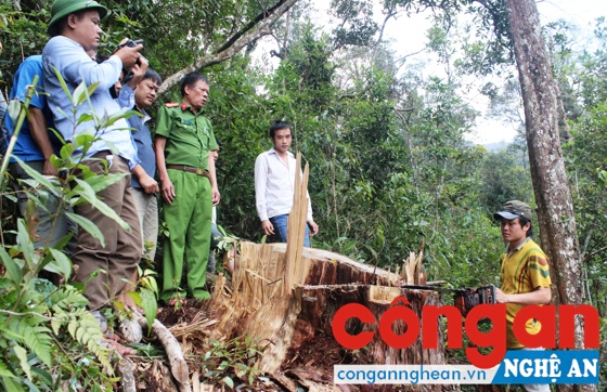 Công an tỉnh Nghệ An tổ chức thực nghiệm hiện trường