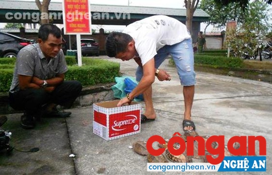 Lái xe và phụ xe cùng tang vật