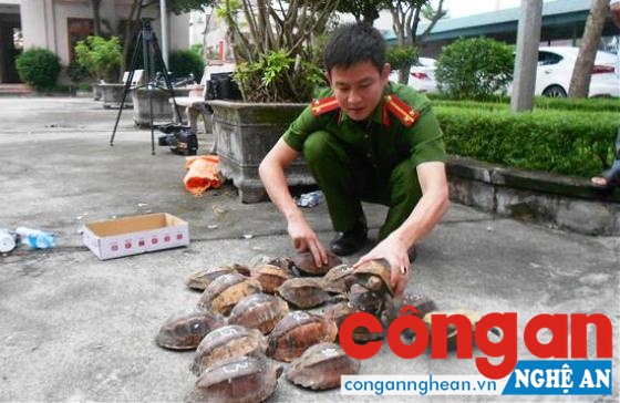 Kiểm đếm tang vật