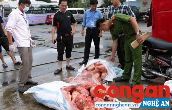 Lực lượng chức năng kiểm tra số thịt gà bị thu giữ
