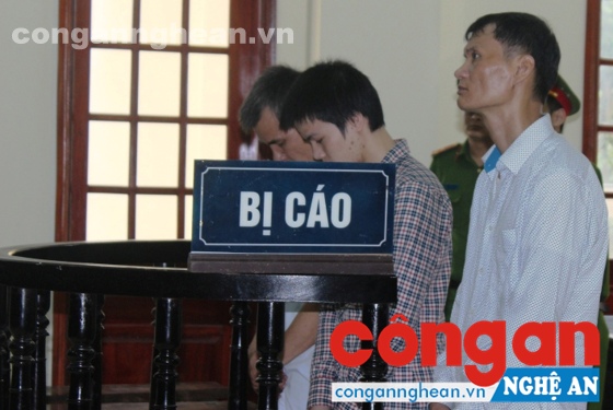Các bị cáo tại tòa