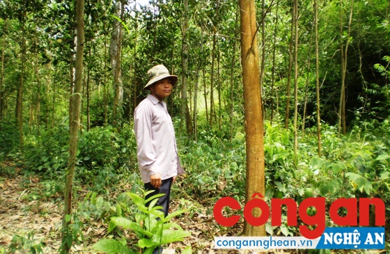 Người dân rất cần các cấp sớm bàn giao đất lâm nghiệp để yên tâm sản xuất, ổn định cuộc sống lâu dài