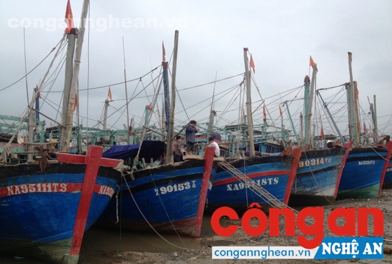 Hệ thống luồng lạch đang bị bồi lắng gây cản trở không nhỏ tới việc ra vào, neo đậu tàu thuyền của ngư dân (ảnh chụp tại cảng cá Lạch Thơi)