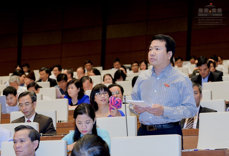 ĐBH Ngô Trung Thành chất vấn Bộ trưởng Bộ Tài nguyên và Môi trường - Ảnh: Đình Nam