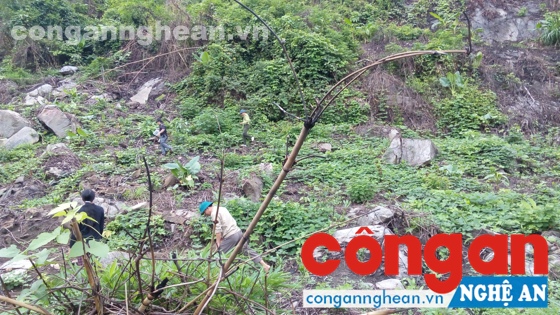 Thực địa khoảng 2 ha rừng trạng thái 1C bị chặt phá trái phép trong thời gian qua