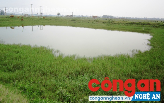 1 trong 4 hồ lắng của ông Nguyễn Phi Thắng