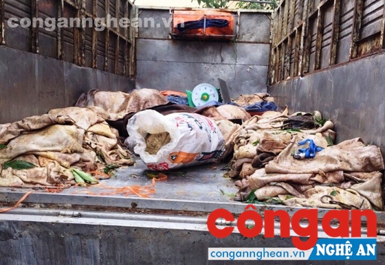 Số mỡ động vật và da bò bị thu giữ