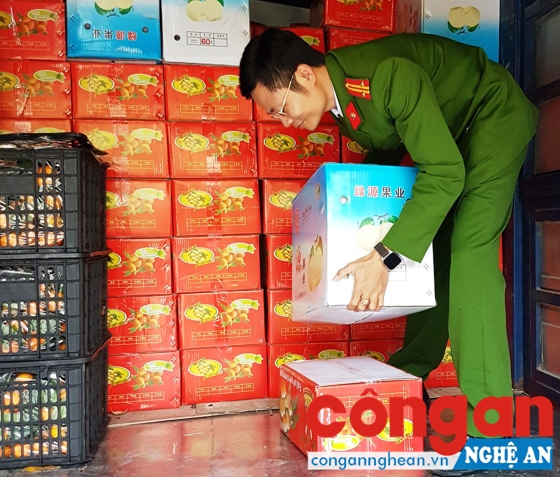Lực lượng chức năng thu giữ số hoa quả nhập lậu để tiêu hủy