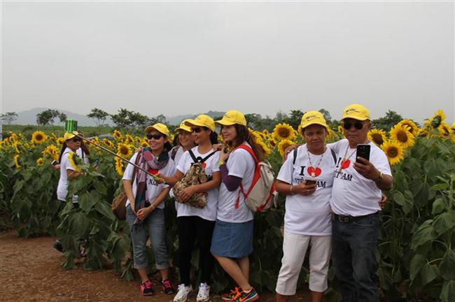 Mọi người đều lưu lại những khoảnh khắc đẹp bên cánh đồng hướng dương lớn nhất Việt Nam