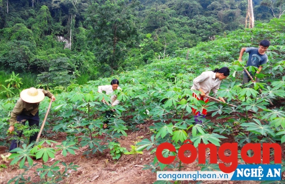 Việc đẩy mạnh giao đất lâm nghiệp cho người dân giúp nâng cao hiệu quả sử dụng đất, quản lý tốt tài nguyên thiên nhiên