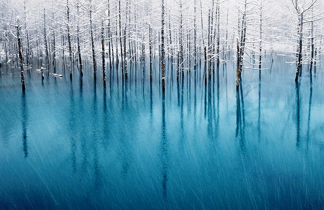 Ao nước Blue Pond nổi tiếng của Nhật Bản.