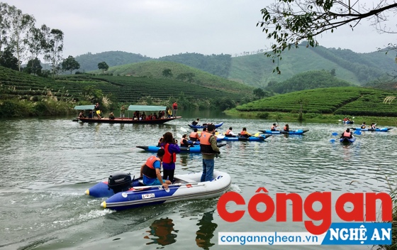 Đảo chè Thanh Chương là điểm đến mới với cảnh sắc thiên nhiên thơ mộng, hữu tình