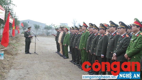 Toàn cảnh buổi phát động Tết trồng cây