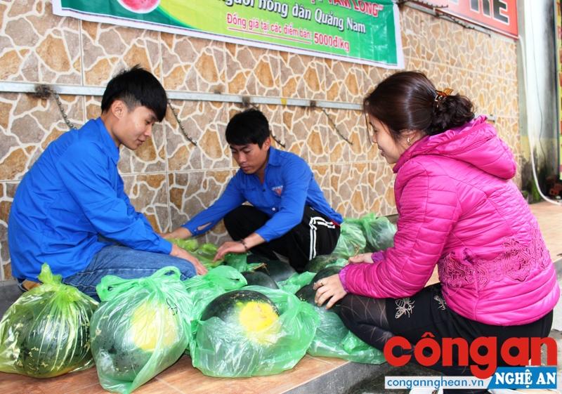 Ứng dụng công nghệ cao vào sản xuất nông nghiệp góp phần đảm bảo việc tiêu thụ sản phẩm cho người dân (Trong ảnh: Các tổ chức đoàn tham gia hỗ trợ bán dưa hấu giúp người dân)