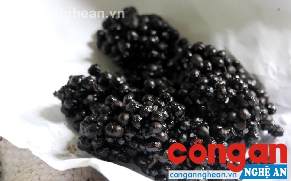 Số cà phê làm giả chủ yếu là từ hạt đậu nành 