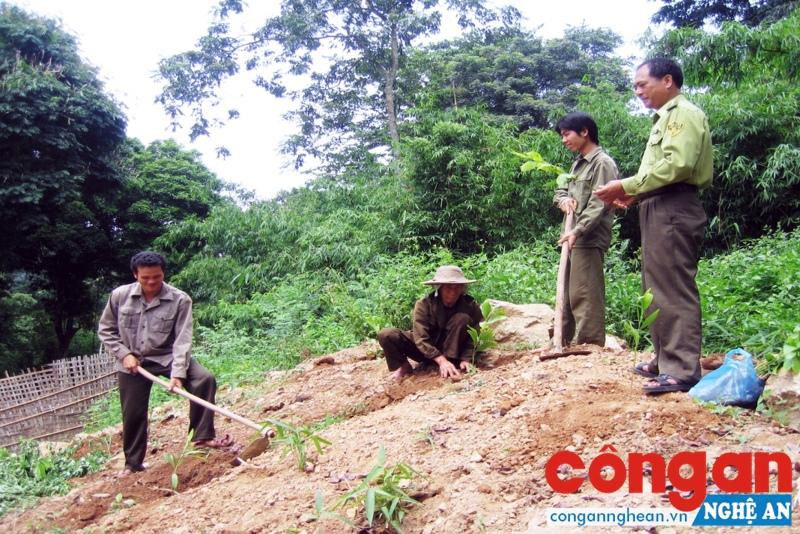 Tăng cường công tác kiểm tra, giám sát và tuyên truyền, vận động là giải pháp nhằm hạn chế tình trạng chuyển nhượng đất rừng trái phép
