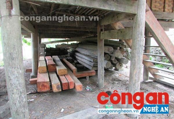 Số gỗ trái phép bị Hạt kiểm lâm Khu bảo tồn thiên nhiên Pù Huống thu giữ