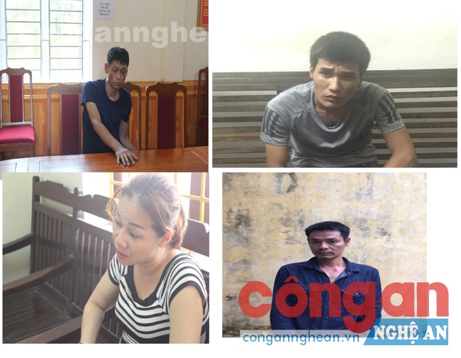 Các đối tượng bị bắt trong chuyên án