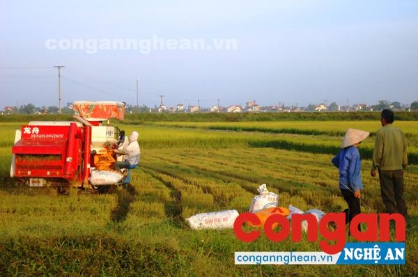 Đẩy nhanh quá trình cơ giới hóa, nâng cao năng suất lao động góp phần thực hiện các tiêu chí 