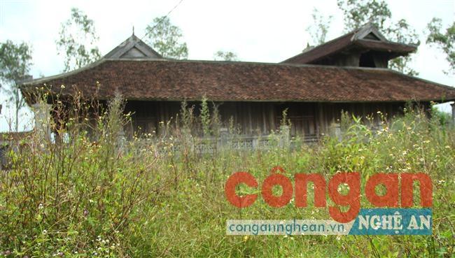 Khung cảnh hoang hóa, cỏ dại mọc um tùm ở đình Võ Liệt