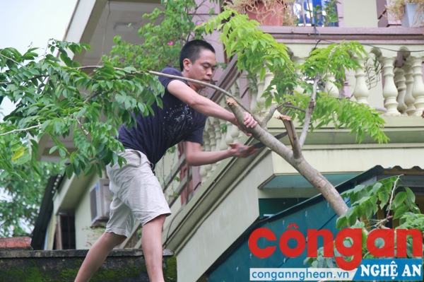 Người dân TP Vinh phòng chống cơn bão số 10