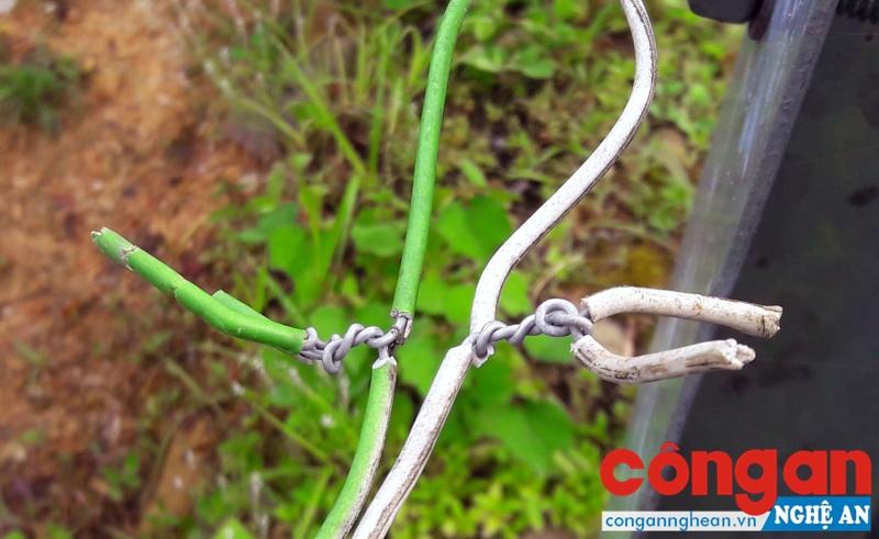 Mối nối dây điện hết sức sơ sài, tiềm ẩn nhiều rủi ro bị điện giật
