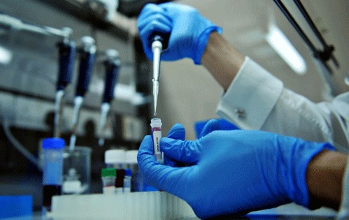 Bộ ba kháng thể mới có thể tiêu diệt 99% virus HIV ở khỉ. Ảnh minh họa
