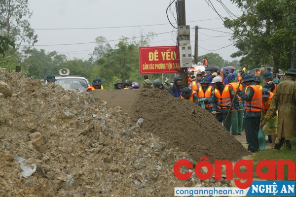 Các lực lượng tham gia công tác hộ đê sông Vinh