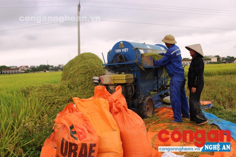 Bà con giáo dân tích cực sản xuất, phát triển kinh tế