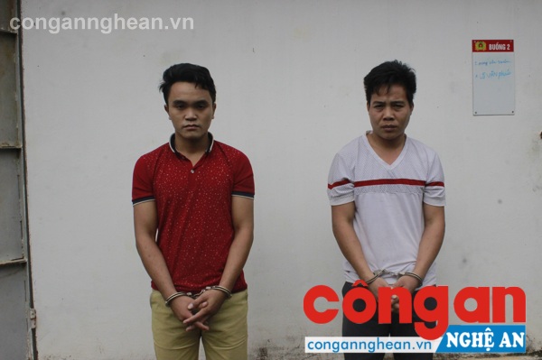 Hai đối tượng tham gia chặt phá bị khởi tố về hành vi hủy hoại tài sản và trộm cắp tài sản