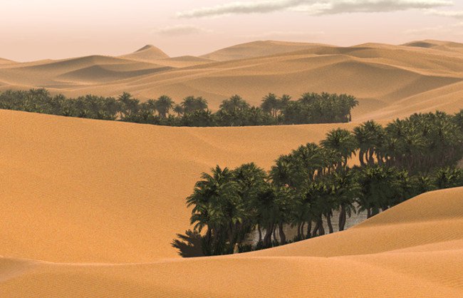 Saudi Arabia là vùng đất không hề có sông. Hầu hết nguồn nước ngọt của Saudi Arabia đến từ các nhà máy khử muối hoặc các hồ chứa dưới lòng đất.