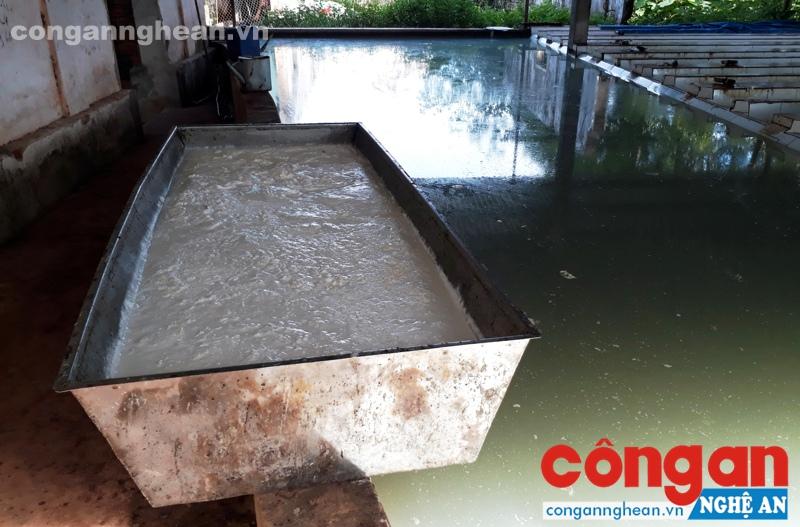  Nước từ bể chứa bốc mùi hôi thối