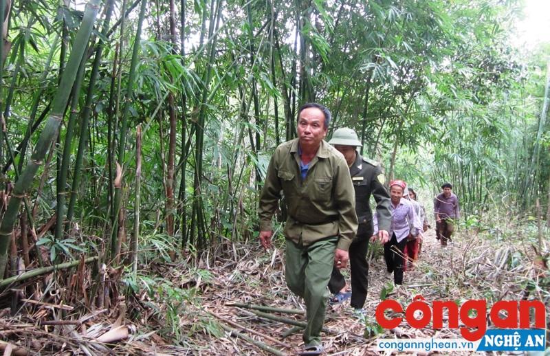  Giải quyết dứt điểm tranh chấp địa giới hành chính khu vực miền núi góp phần hạn chế tình trạng xâm hại tài nguyên rừng 