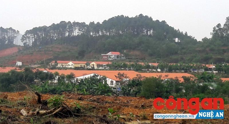 Trại lợn của Công ty Đại Thành Lộc nằm ở thượng nguồn đập Ba Khe