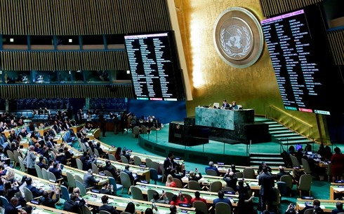Phiên họp Đại hội đồng Liên Hợp Quốc ngày 21/12. Ảnh: AFP/Getty.