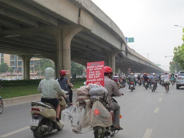 Thận trọng trước những loại rượu ngâm sản phẩm động, thực vật.